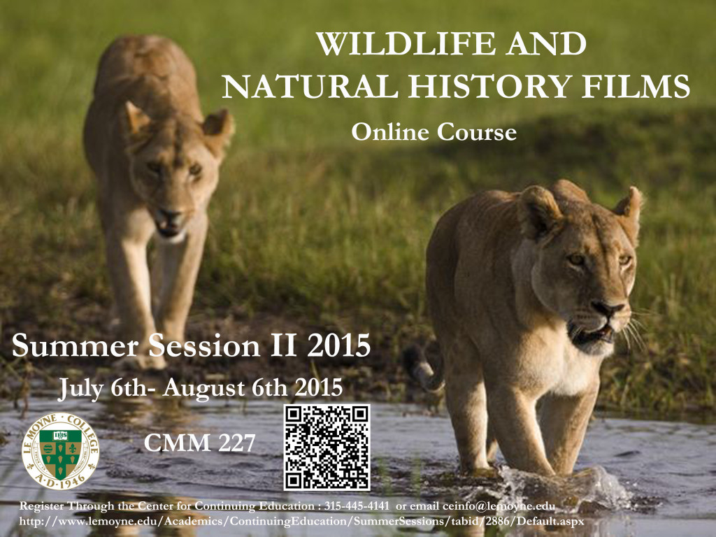 Wildlife CMM Poster_LMC